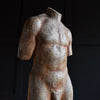 French School Study of a Male Torso, Circa 1920.