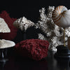 Beautiful Collection Fourteen Mounted Coral and Shell Specimens.