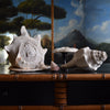 Beautiful Collection Fourteen Mounted Coral and Shell Specimens.
