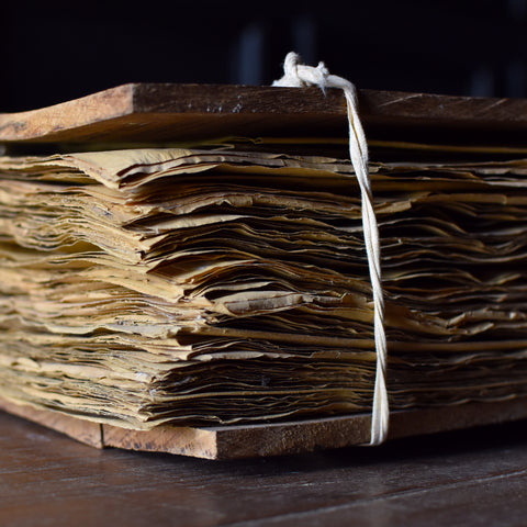 Superb Collection of 100 Pressed Botanical Plant Herbarium Specimens Bound in Oak Folio.