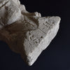 17th Century Carved Limestone Church Corbel Portraying a French Saint.