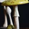 Collection of 7 Vintage Anatomically Correct Identification Mushroom Models.