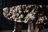 Outstanding 18th Century Burr Elm Grotto Table.