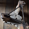 Outstanding 18th Century Burr Elm Grotto Table.