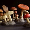Unique collection of 25 Vintage Anatomically Correct Identification Fungi Models.
