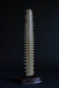 Vintage Sawfish Rostrum Bill Circa 1920, In a Victorian Glass Dome.