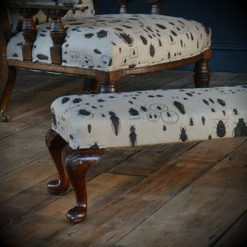 19th Century Mahogany Entomology Long Stool.