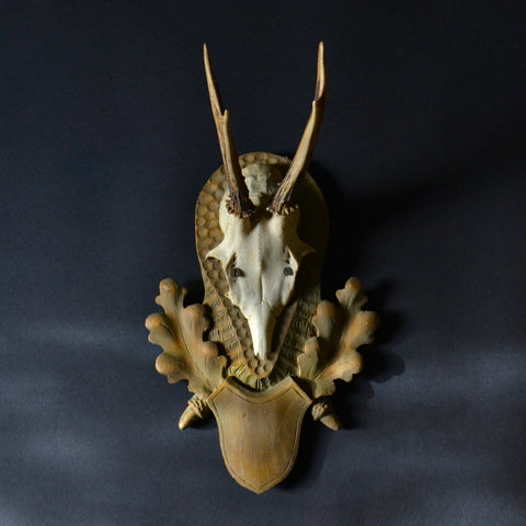 Vintage Roe Deer Antlers On Carved Black Forest Shield.