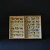 Vintage Cased Butterfly Specimens.