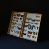 Vintage Cased Butterfly And Moth Specimens