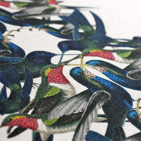 Hummingbird.