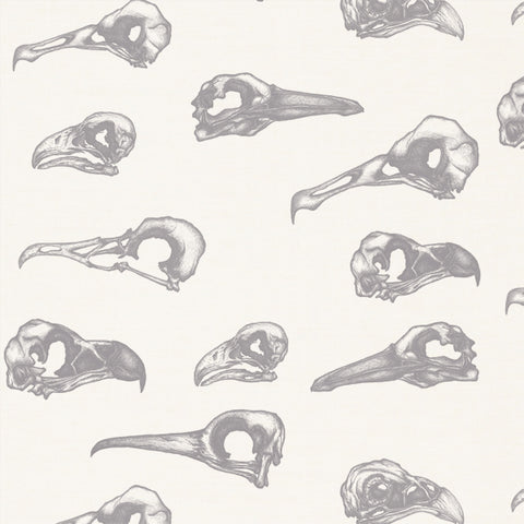 Laridae.