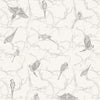 Parakeet