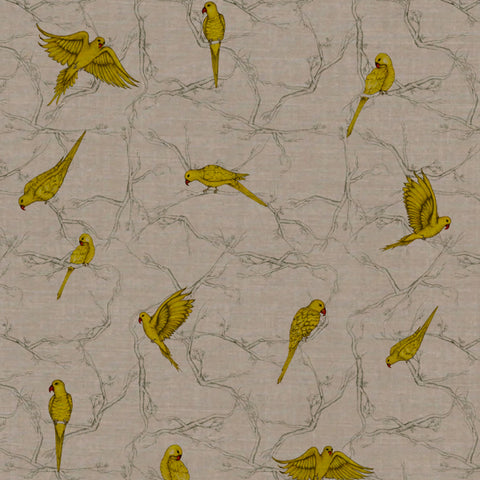 Parakeet