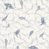 Parakeet