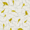 Parakeet