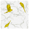Parakeet