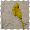 Parakeet