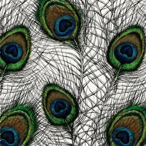 Pavo Complex