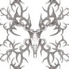 Winter's Bone